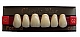 Zęby Classic Plus fason 45