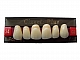 Zęby Classic Plus fason 34